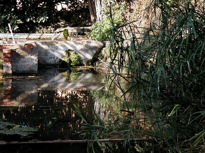 Fontanili della Toscana